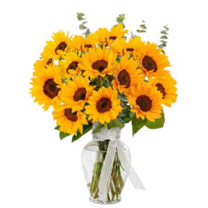 20 girasoles en jarrón
