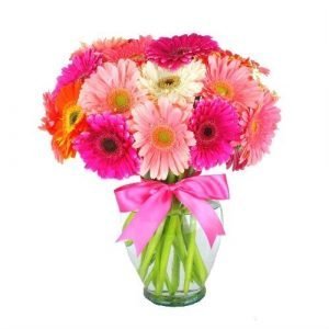 20 gerberas multicolor en jarrón