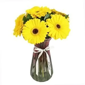 Gerberas Just for you