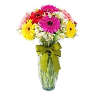 Amor Bonito con gerberas