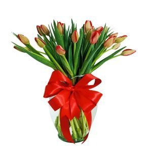 30 tulipanes en jarrón