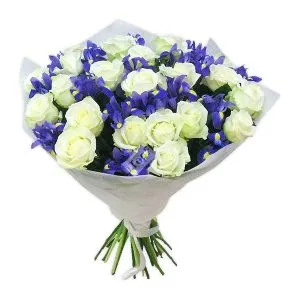 Ramo 24 rosas blancas e iris
