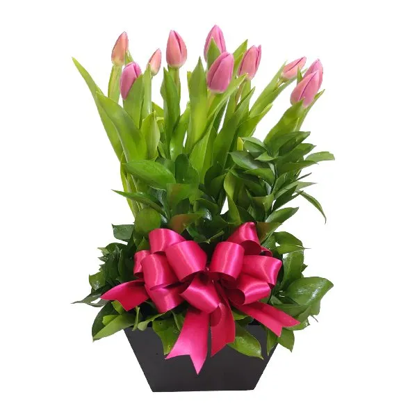 Arreglo de 10 Tulipanes Rosas
