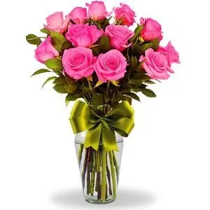 24 rosas fiusha en jarron