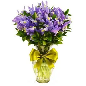 Iris en Jarrón