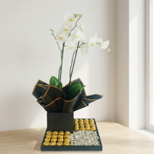 Phalaenopsis y Ferreros Rocher en caja