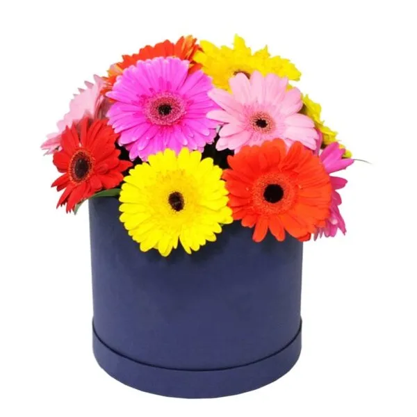 12 gerberas en caja