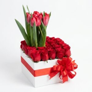 Rosas y Tulipanes My Love