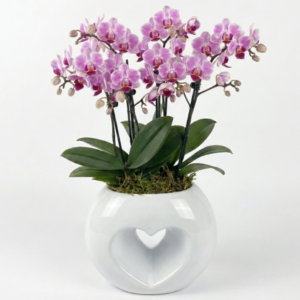 Corazón de Orquídeas