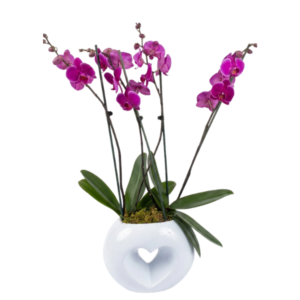 Corazón de Orquídeas